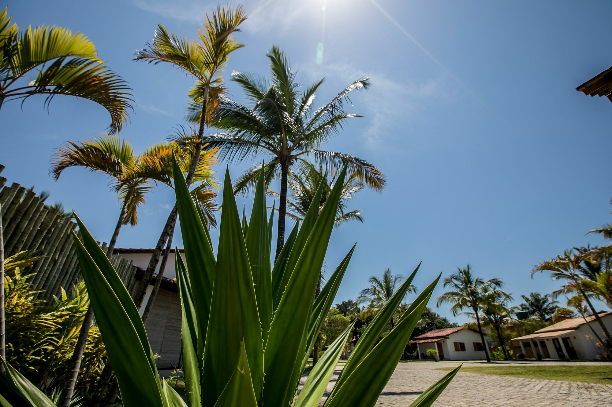 Vila Morena Trancoso Luaran gambar